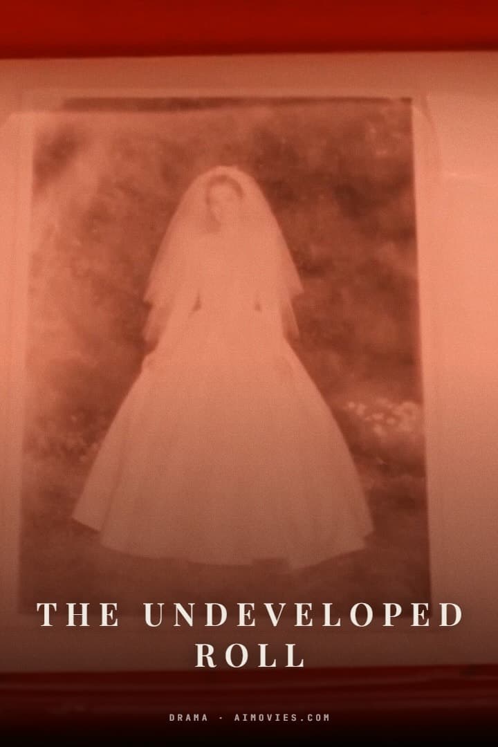 The Undeveloped Roll poster
